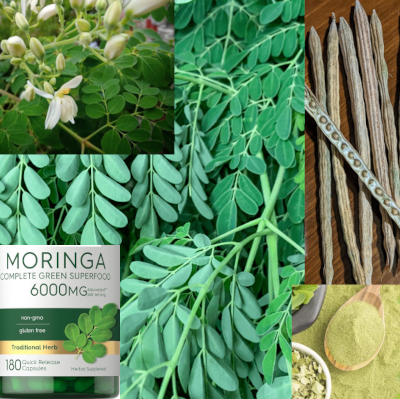 Moringa oleifera